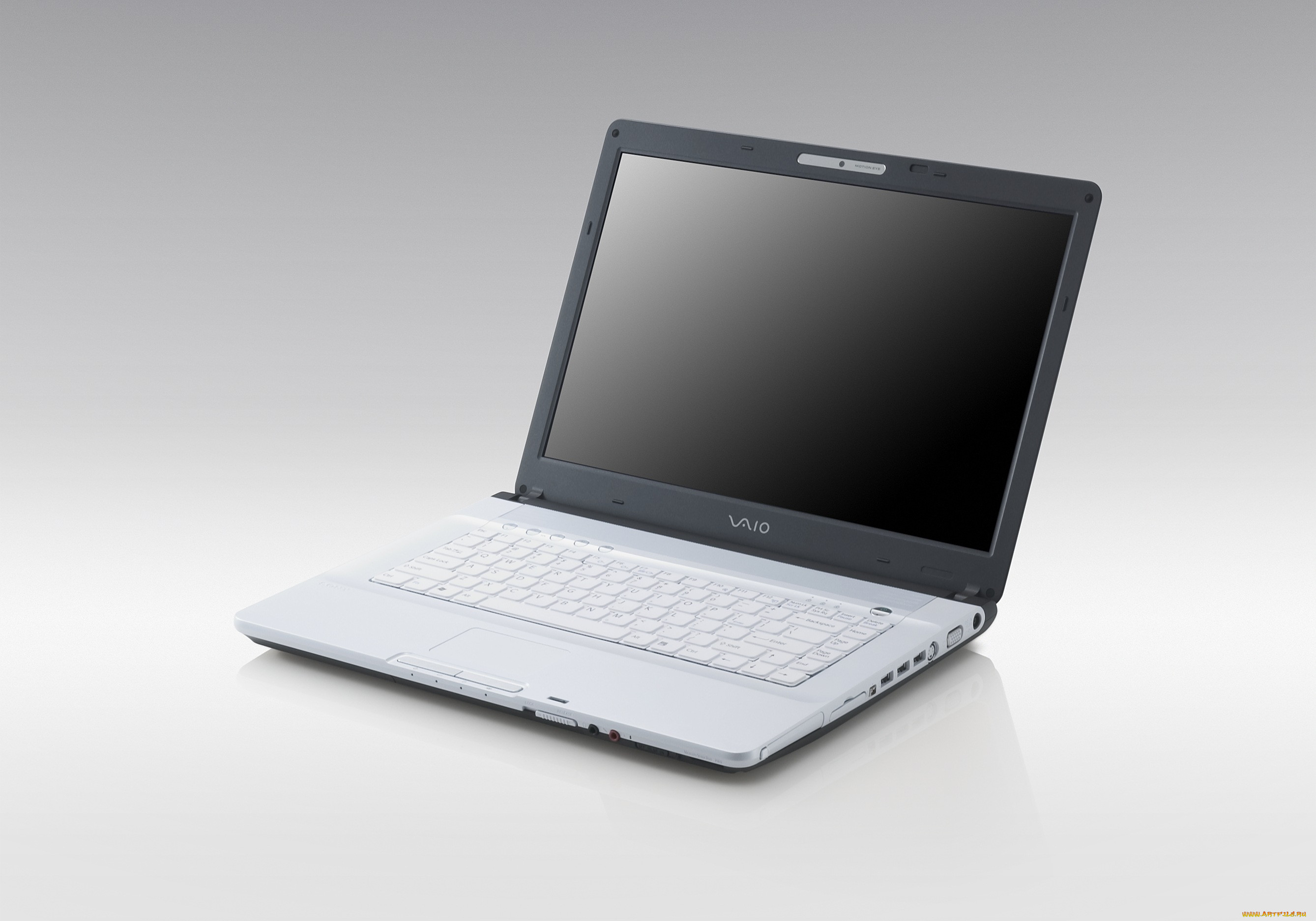 VAIO VGN-F